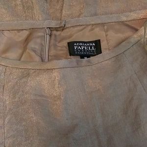 Adrianna Papell Evening Essentials Skirt Gold-Green Shimmer, Size 8P